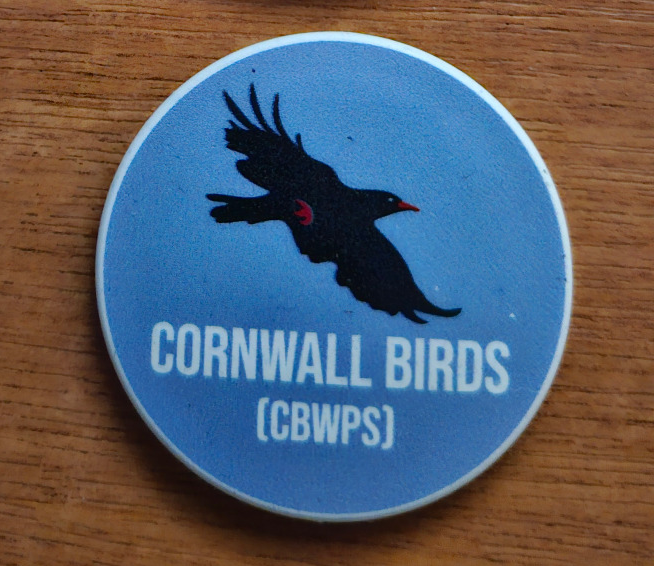 Cornwall Birds fridge magnet