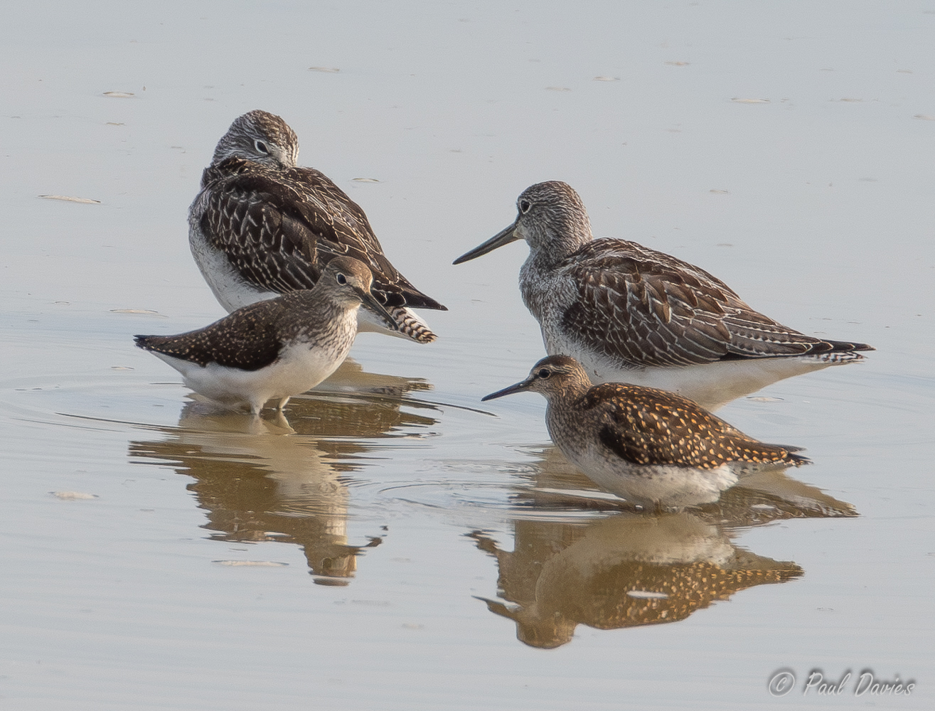 Photo of the Week 27th July-2nd August 2026